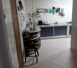 Telok Kurau Road (D15), Semi-Detached #523949061